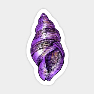 vintage seashell illustration with bright purple and yellow colours Sticker